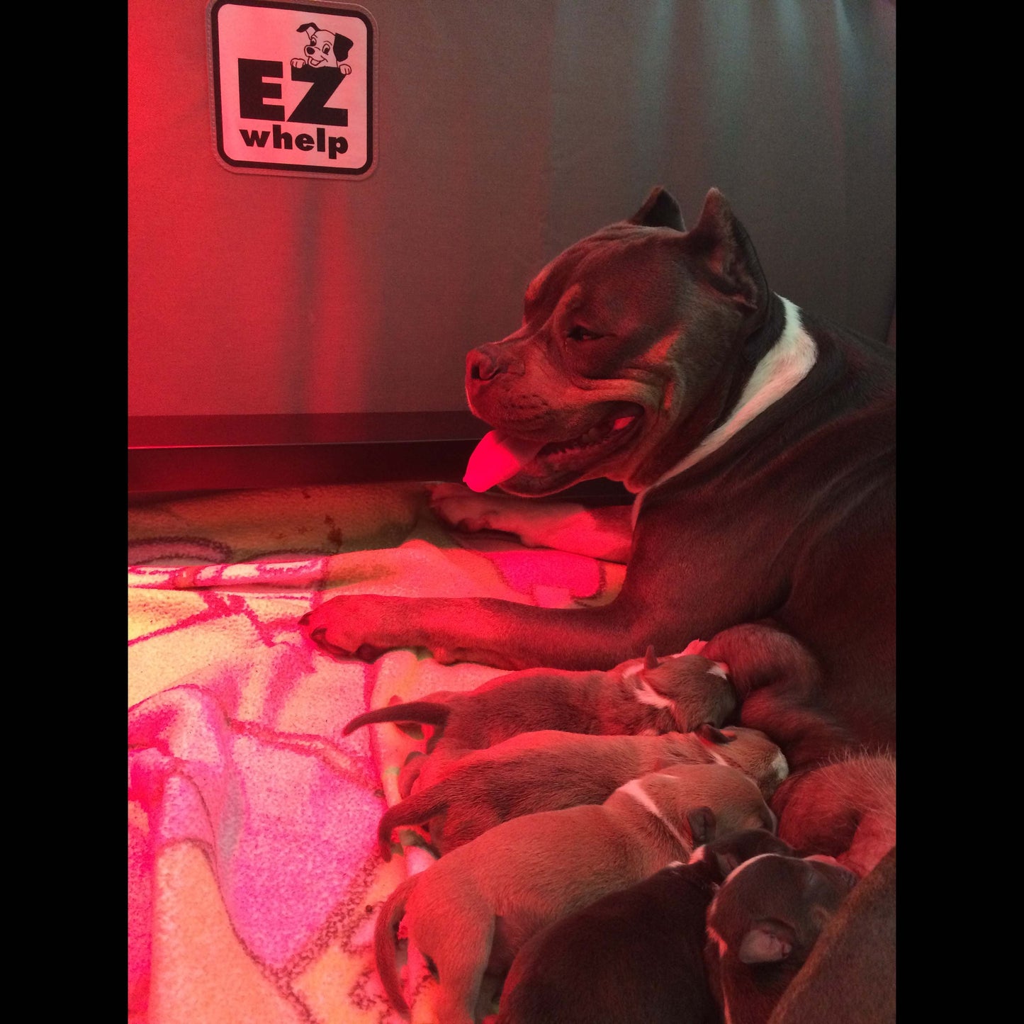 Heating Combo For Fab System