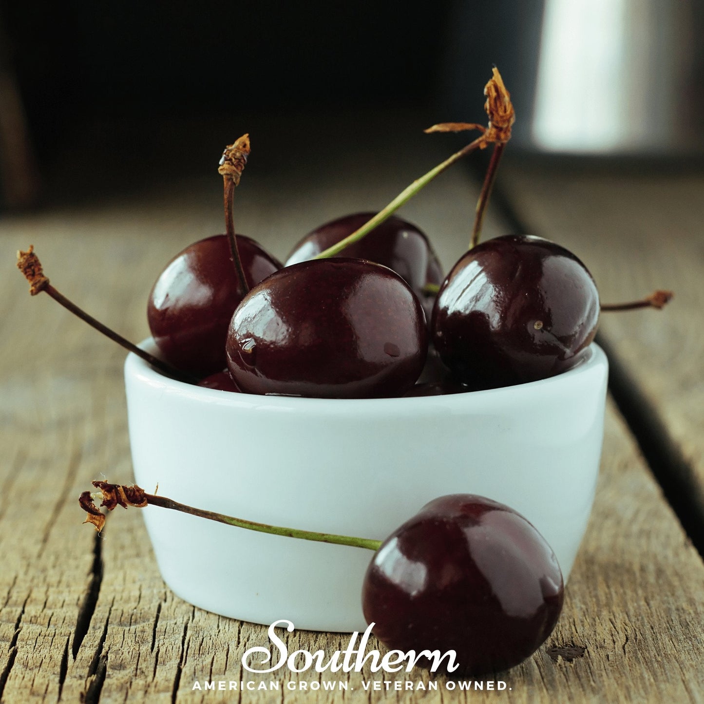 Black Cherry Tree Seeds | Native Prunus serotina | Fragrant White Flowers & Tart Cherries | Heirloom, Open Pollinated, Non-GMO