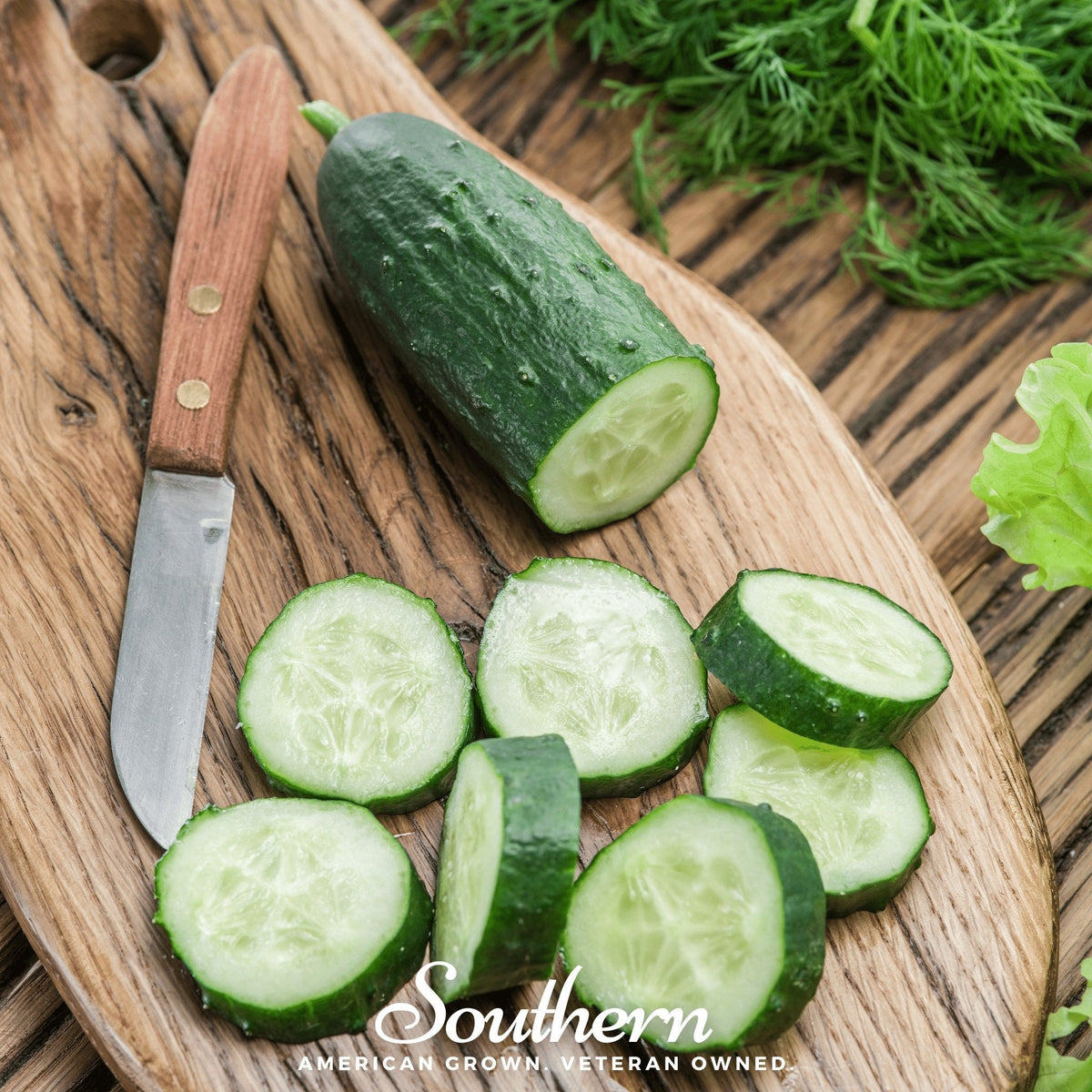 Spacemaster Cucumber Seeds – 30 Heirloom, Open Pollinated, Compact Bush Variety for Containers & Small Gardens Cucumis sativus