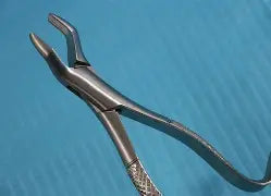 Dental Forcep #10H