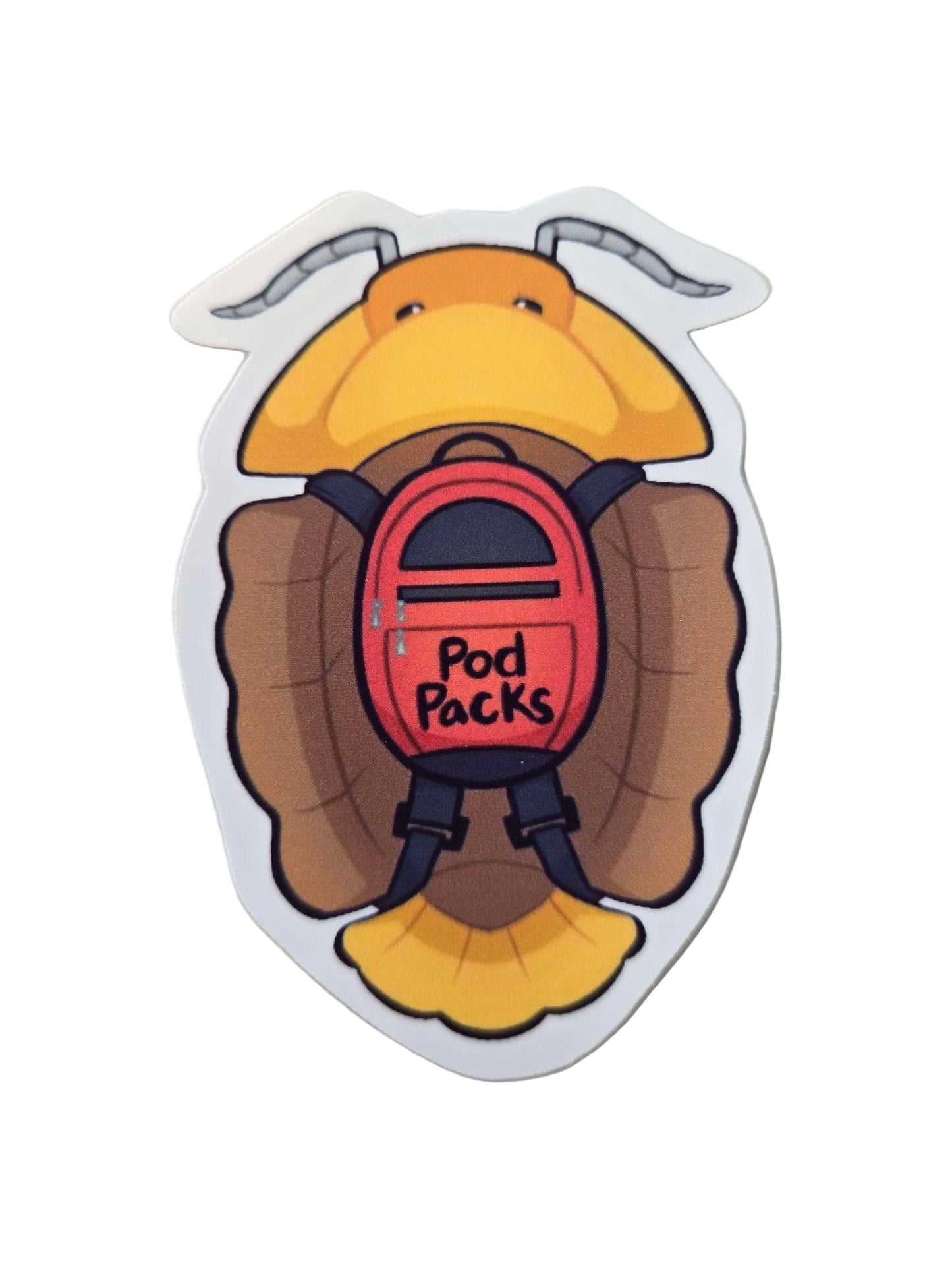 Large Lotus Head Pod – Natural Isopod Hide & Terrarium Decor (Pod Pack)