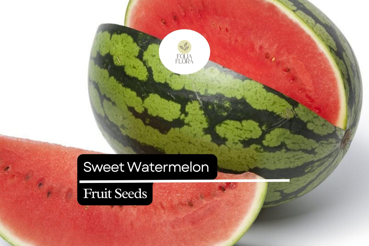 25 Seeds Sweet Watermelon Heirloom Fruit, Juicy, Large, Summer Garden Favorite Citrullus lanatus