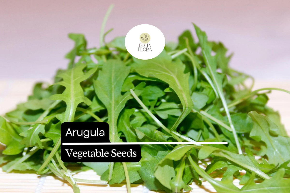 1g Arugula Seeds | Heirloom Non-GMO Salad Green | Fast-Growing Peppery Leafy Green | Eruca vesicaria