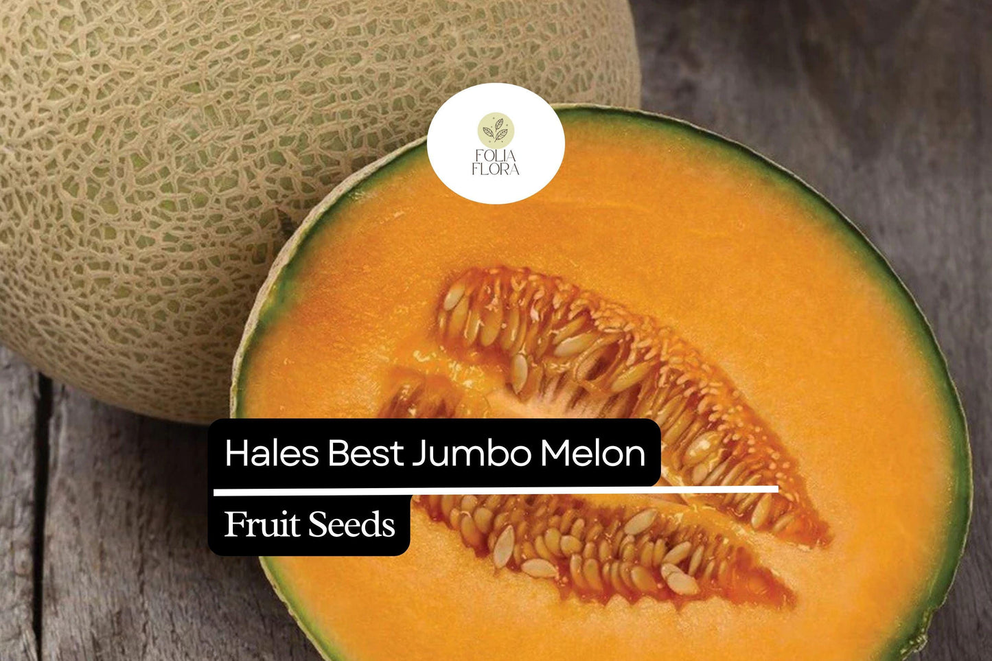 Hales Best Jumbo Melon Seeds | Heirloom Non-GMO Cucumis melo Cantaloupe for Garden Planting