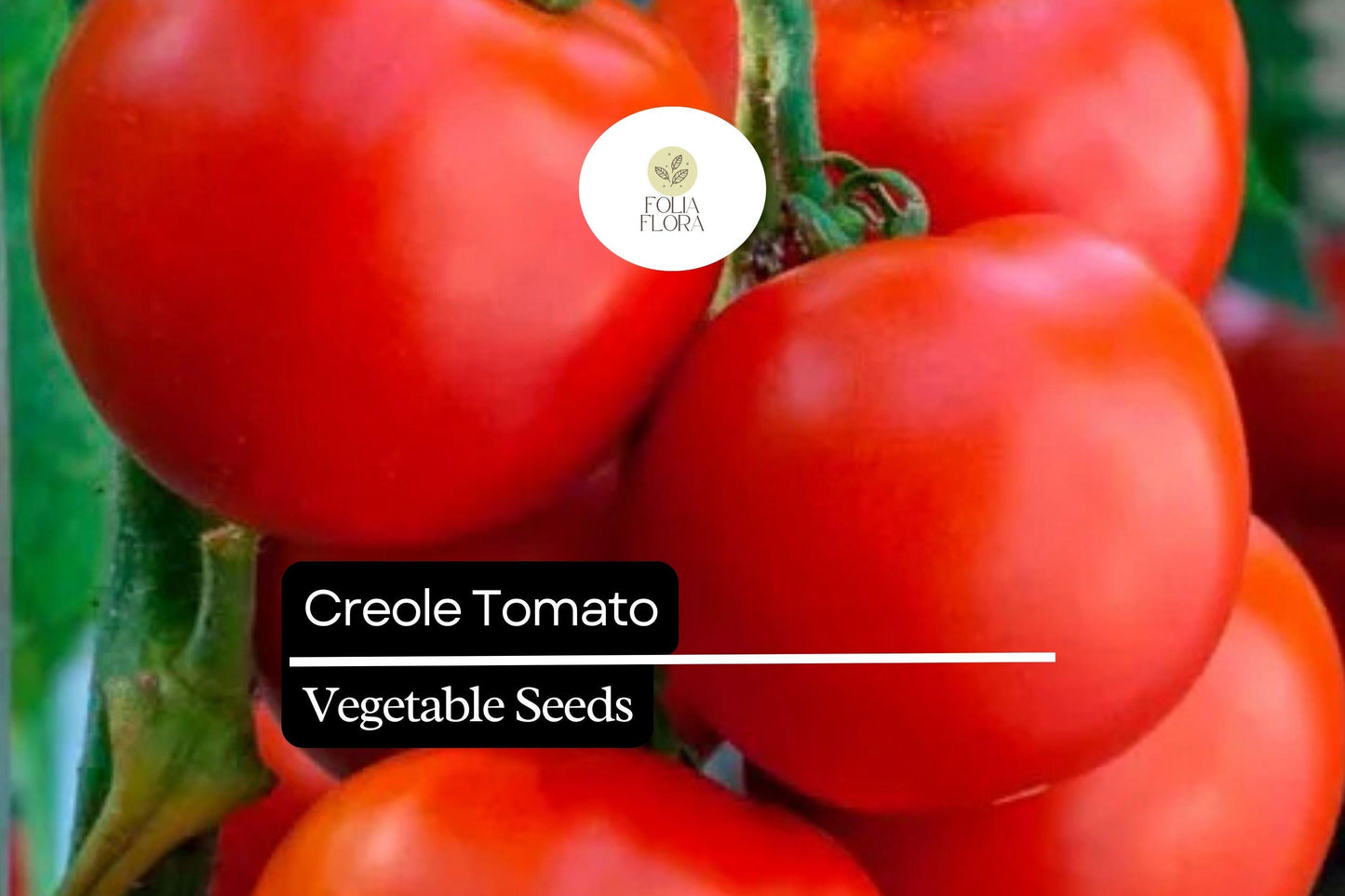 15 Seeds Creole Tomato Heirloom Solanum lycopersicum - Sweet, Juicy, Red Flavorful Garden Seeds