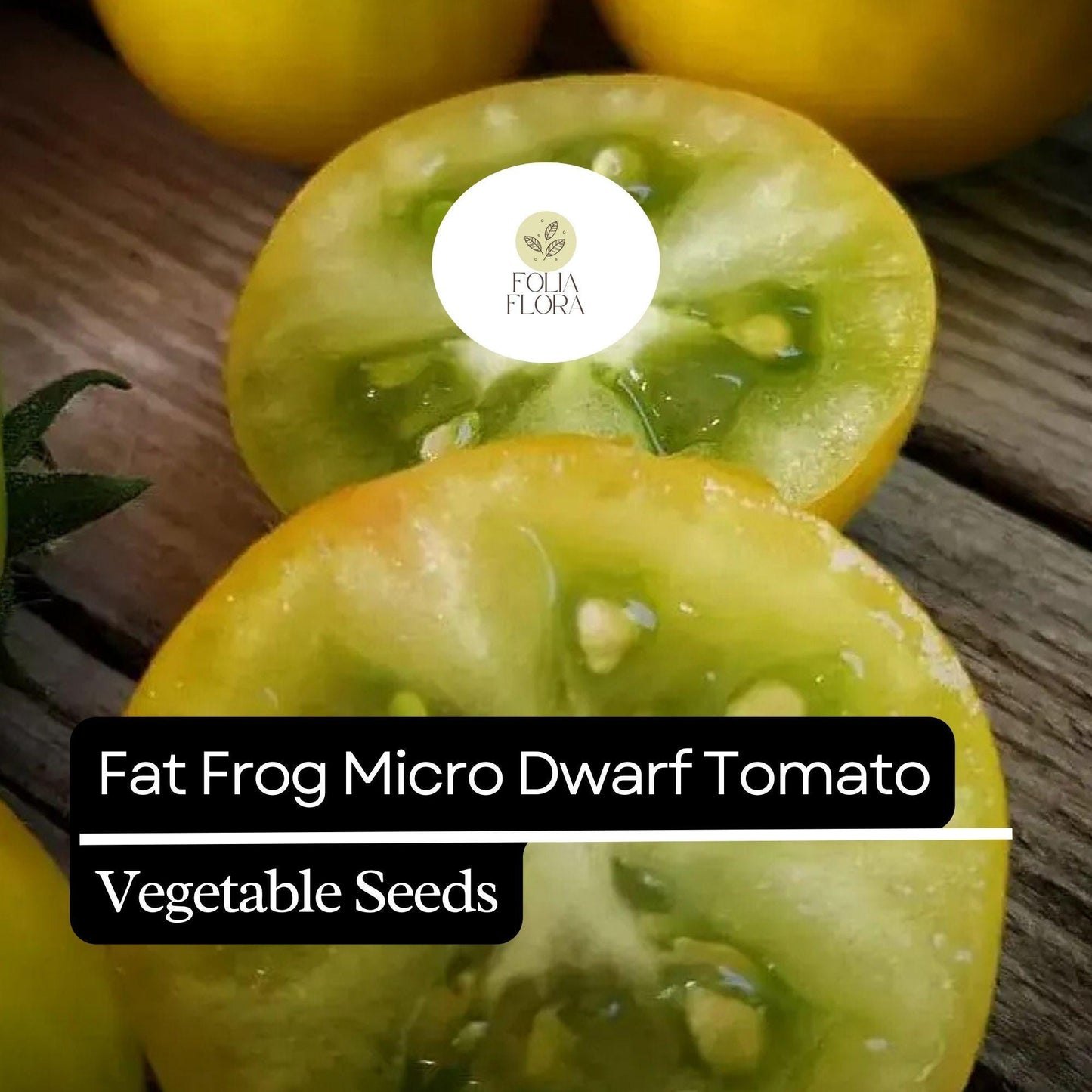 15 Fat Frog Micro Dwarf Tomato Seeds – Heirloom, Non-GMO, Compact Cherry Tomato, Solanum lycopersicum
