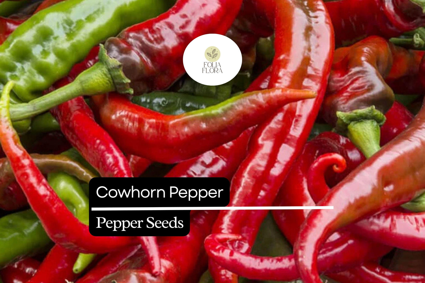 Cowhorn Pepper Seeds – Heirloom Capsicum Annuum, Spicy Long Curved Hot Peppers for Garden, Container, or Food Use