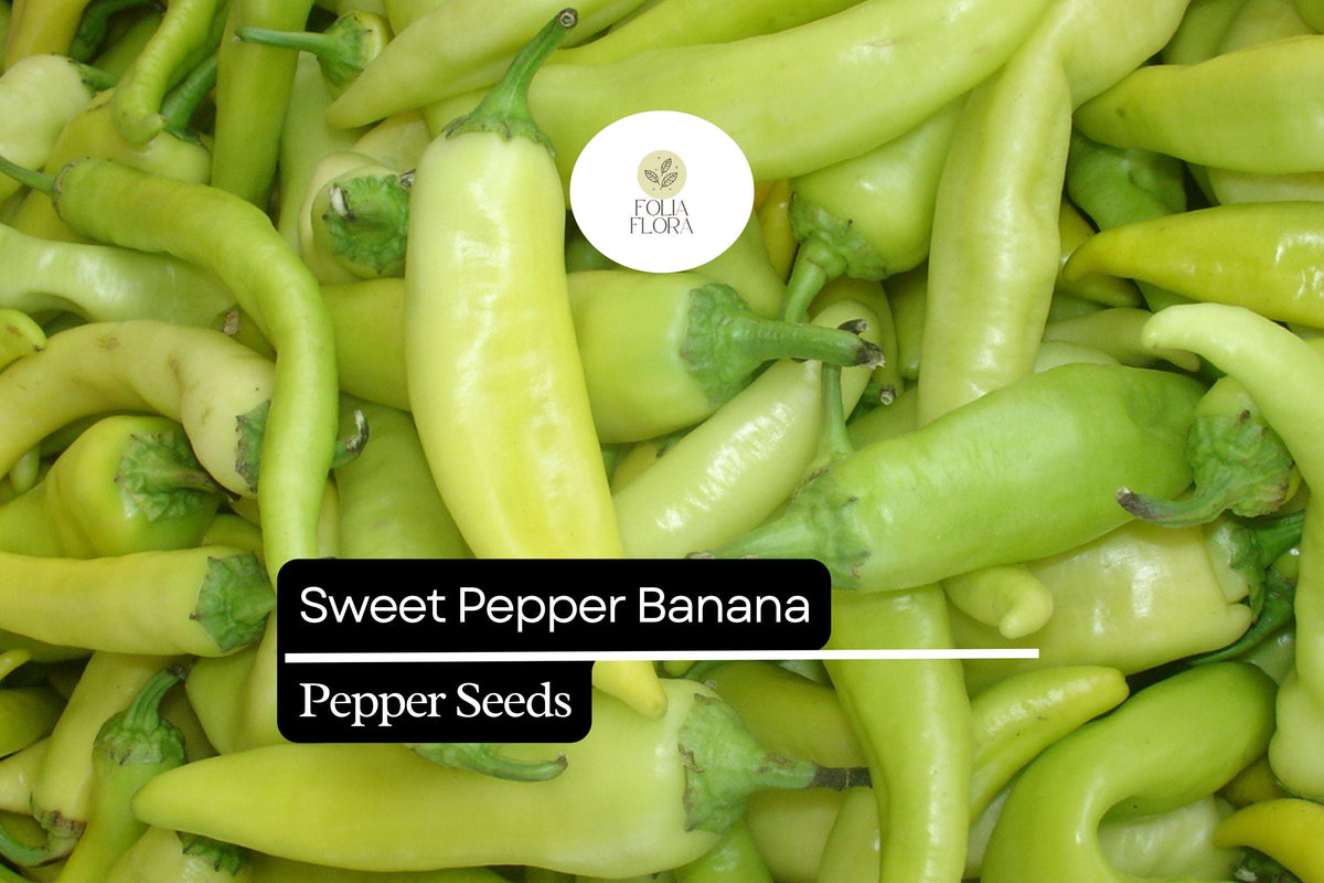25 Sweet Banana Pepper Seeds – Heirloom, Mild & Sweet, High-Yielding, Non-GMO Capsicum annuum