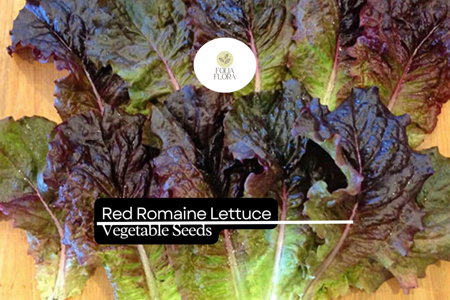 1000 Red Romaine Lettuce Seeds – Heirloom, Heat Tolerant, Cut-and-Come-Again, Lactuca sativa