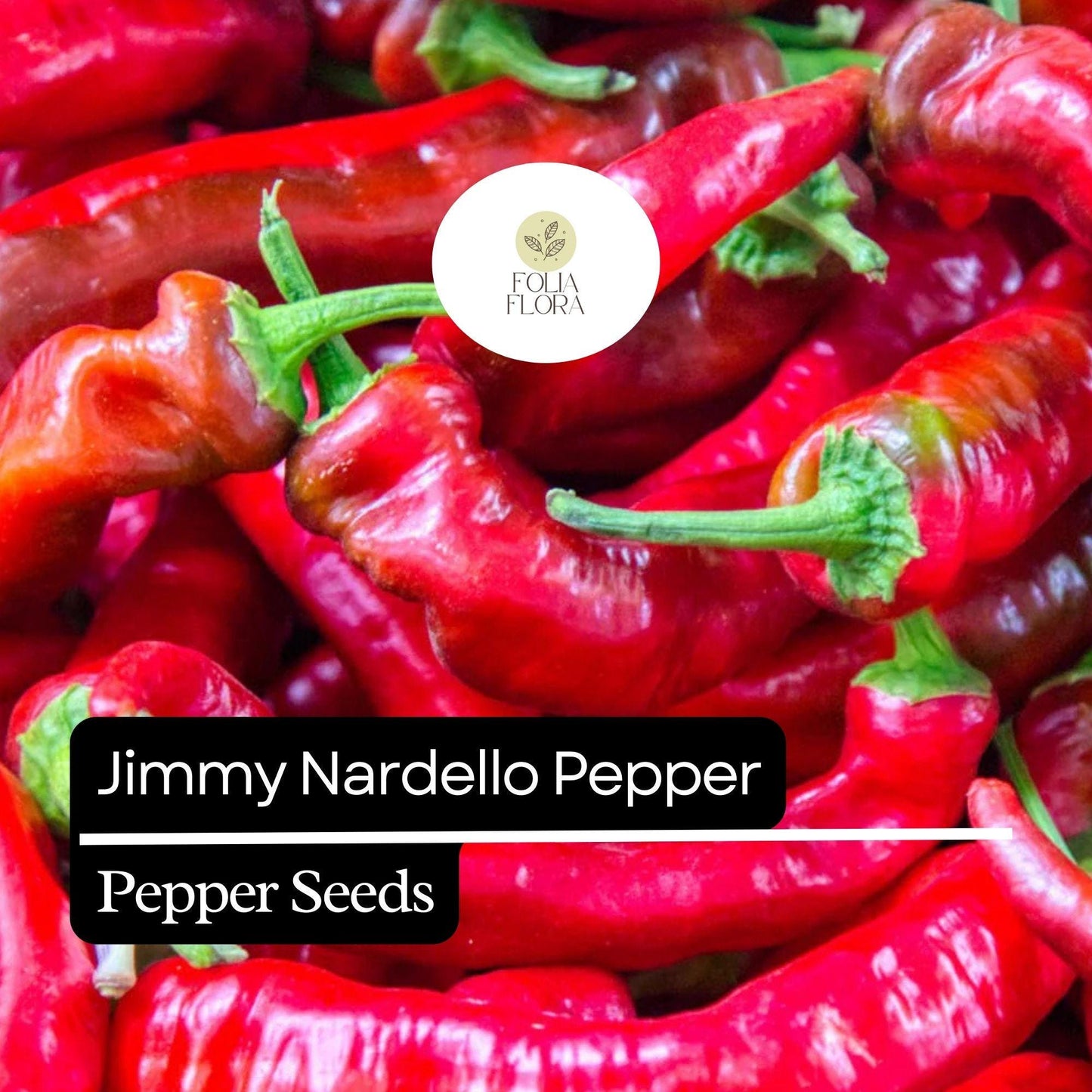Jimmy Nardello Pepper Seeds – Heirloom Non-GMO, Sweet Italian Frying Pepper, Red, Capsicum annuum