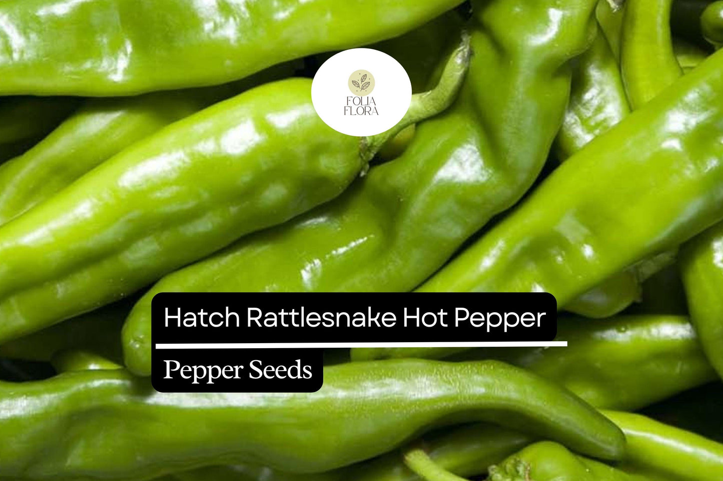25 Hatch Rattlesnake Pepper Seeds – Heirloom, Spicy & Smoky Capsicum annuum, Medium to Hot Chili Pepper Seeds