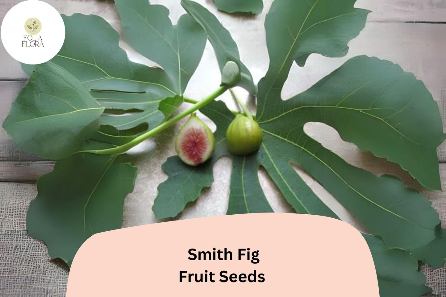 Smith Fig Seeds - 100+ Heirloom Ficus carica for Growing Delicious, Juicy Red Flesh Figs in Warm Climates