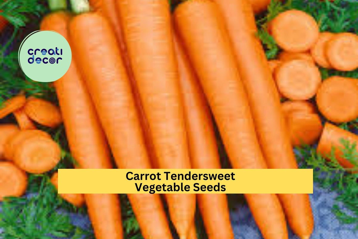 3pcs 500mg Tendersweet Carrot Seeds – Bright Orange Root Veggie for Garden Beds, Containers, or Raised Rows Daucus carota
