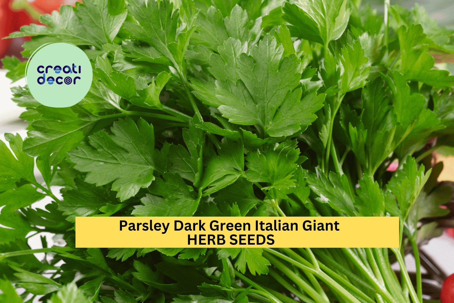 3pcs Italian Giant Parsley Seeds – Dark Green Flat Leaves, Heirloom Herb, Petroselinum crispum for Culinary, Garden & Pots