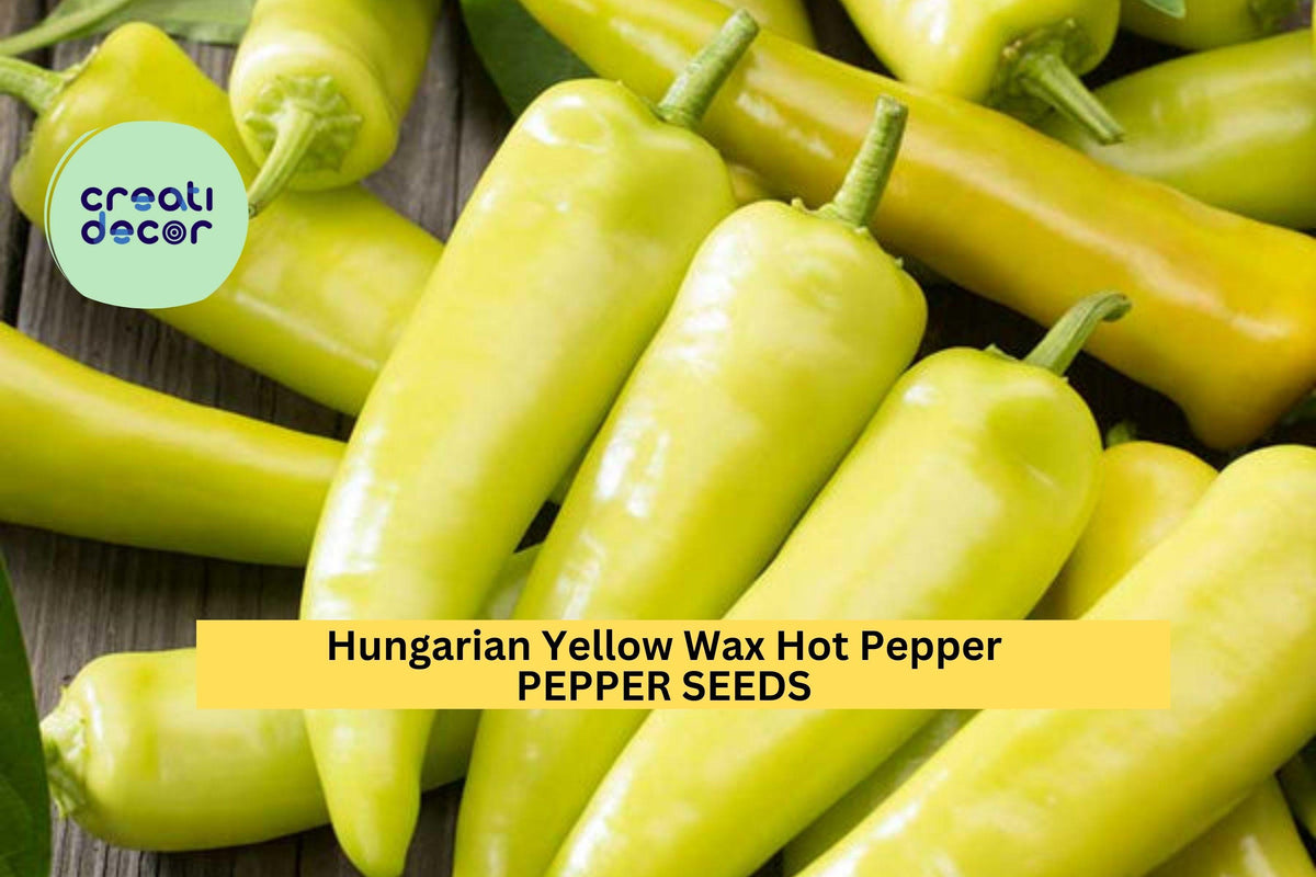3pcs Hungarian Yellow Wax Hot Pepper Seeds – Spicy Banana-Shaped Capsicum annuum for Pickling, Frying & Garden Growing