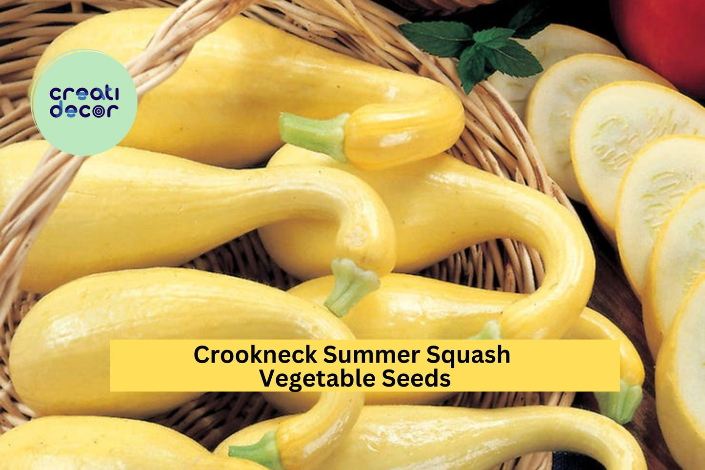 Early Crookneck Squash Seeds – 3 Packs of 10 Premium Cucurbita pepo Heirloom Yellow Summer Squash for High Yields, Easy Garden Planting