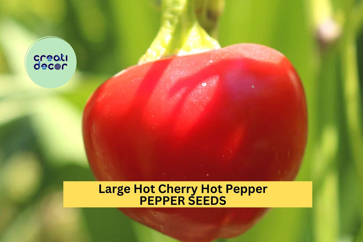 3pcs Large Cherry Hot Pepper Seeds – Spicy Round Red Peppers for Pickling, Sauces, Container Gardening – Capsicum annuum