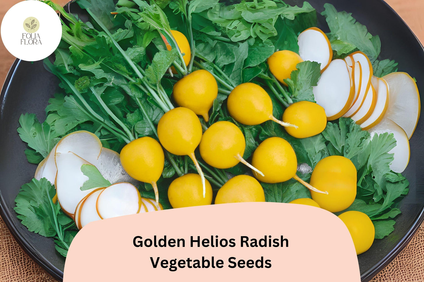 Golden Helios Radish Seeds – Heirloom, Mild & Crisp Yellow Radish, Fast-Growing, Heat-Tolerant, 500+ Seeds