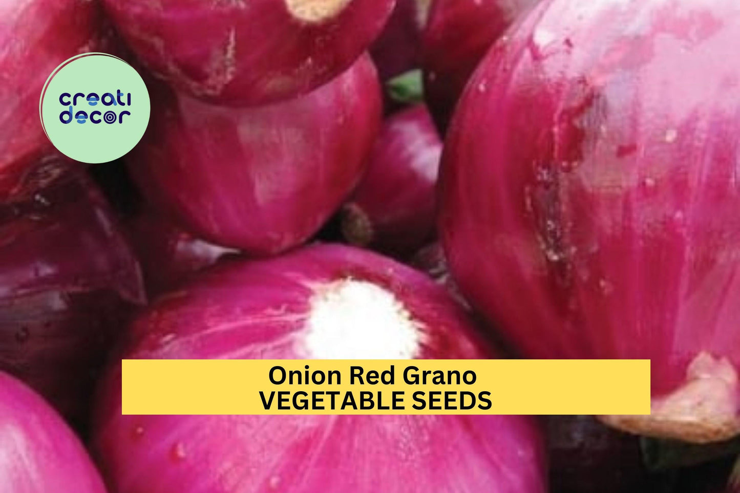 Red Grano Onion Seeds 3pcs 250mg – Sweet, Mild Allium cepa for Salads & Cooking – Short-Day Vegetable Seeds for Planting