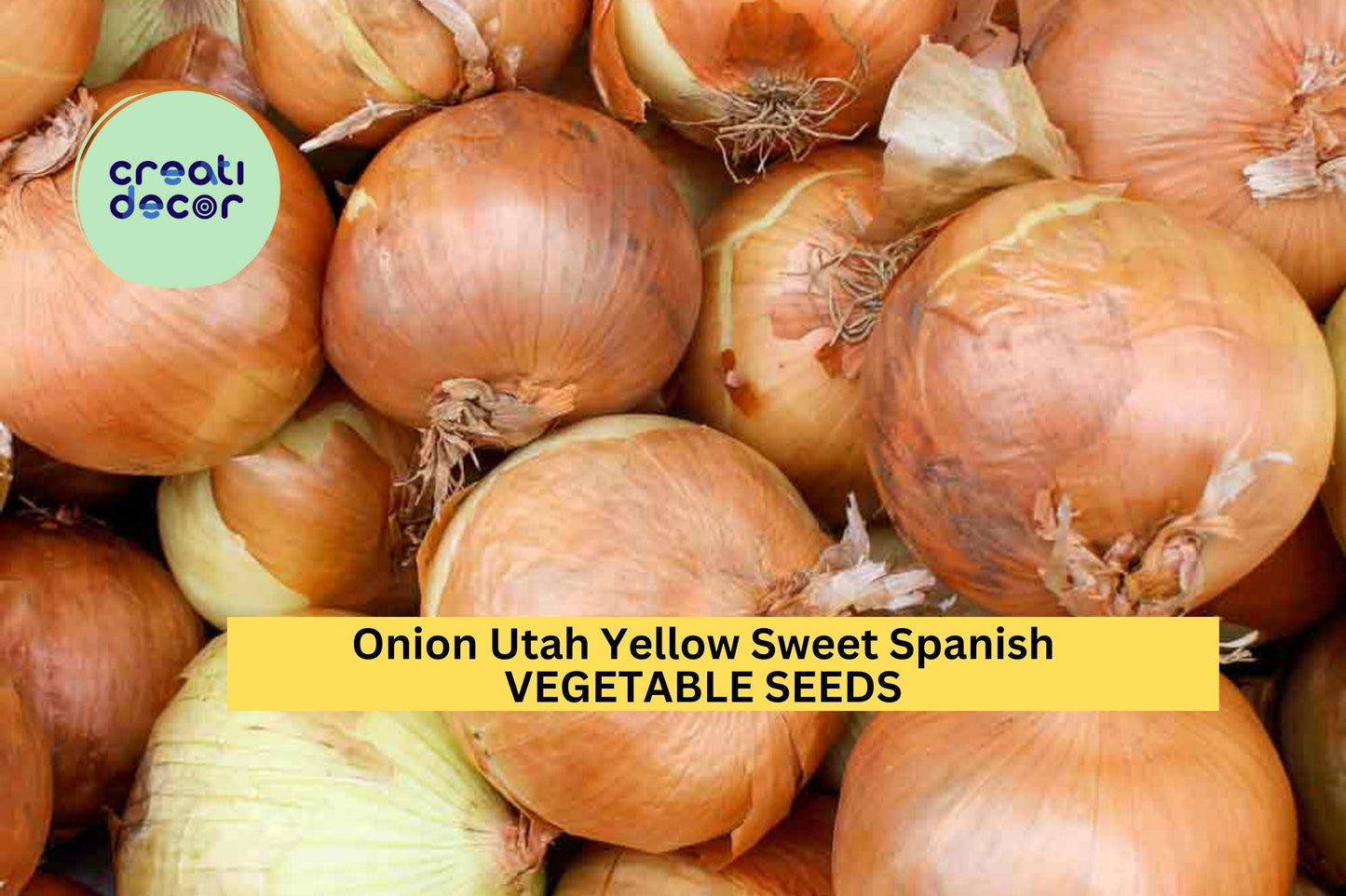 3pcs Utah Yellow Sweet Spanish Onion Seeds – Large Bulbs, Mild Flavor, Allium cepa, Full Sun, Garden Planting Seeds