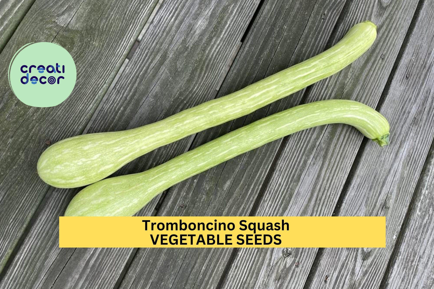 Tromboncino Squash Seeds – Heirloom Climbing Cucurbita moschata for Trellises, Summer & Winter Harvest, Vertical Gardening