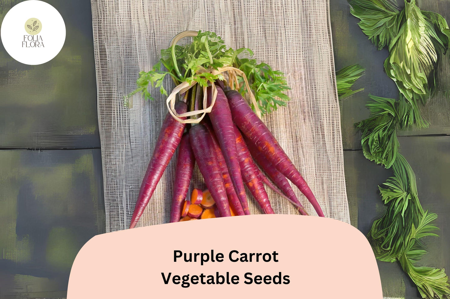 1000 Purple Carrot Seeds – Heirloom Non-GMO Root Vegetable, Deep Purple Skin, Sweet Flavor, Daucus carota subsp. sativus