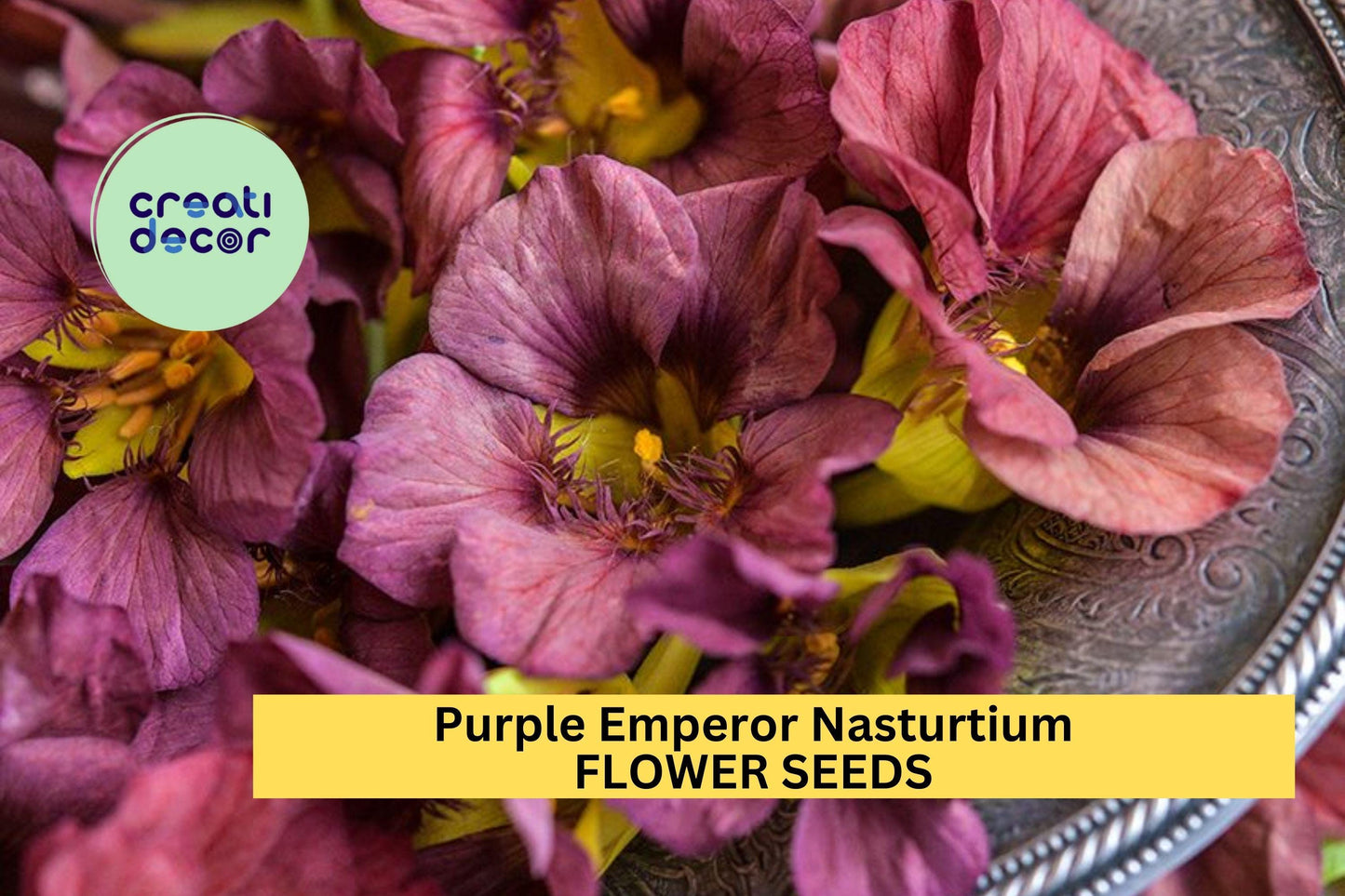 Purple Emperor Nasturtium Seeds – Trailing Annual with Dusky Rose Blooms, Edible Flowers, Tropaeolum majus, for Ground Cover & Containers