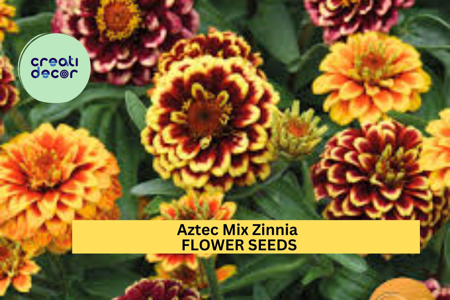 100+ Aztec Mix Zinnia Seeds – Vibrant Multi-Color Flowers for Garden Beds & Pollinator Attracting Annuals – Zinnia elegans