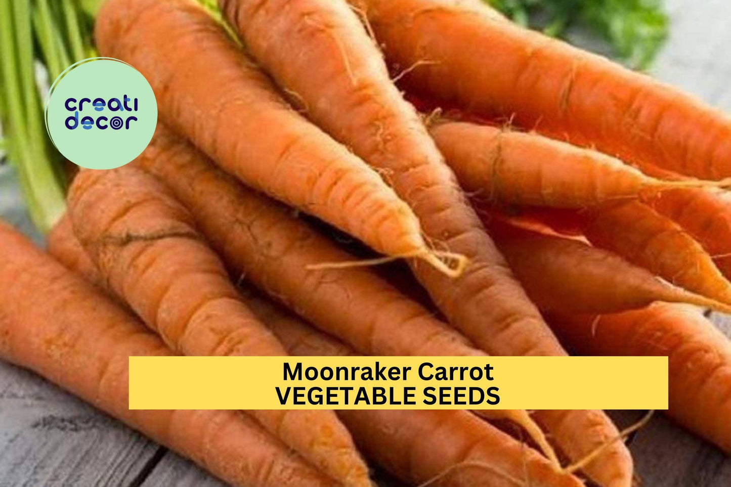 Moonraker Carrot Seeds – White Tapered Roots, Sweet Flavor, 1000+ Seeds, Daucus carota, Full Sun, Well-Drained Soil, USA