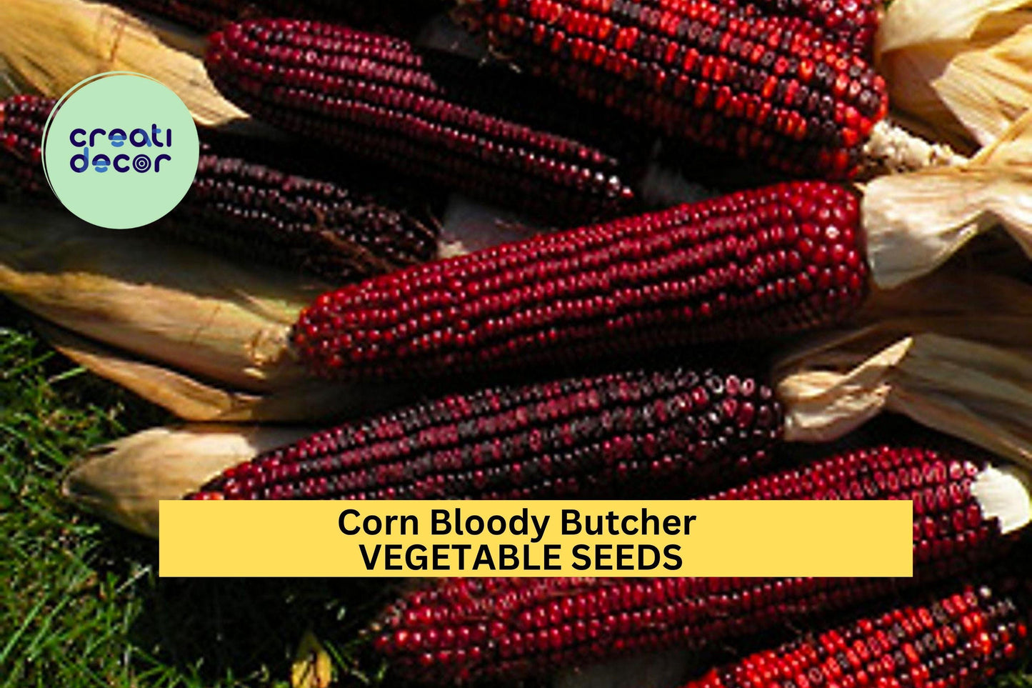 3pcs x 5g Bloody Butcher Corn Seeds – Heirloom Red Dent Zea mays for Fall Harvest, Garden Rows, Homestead Planting