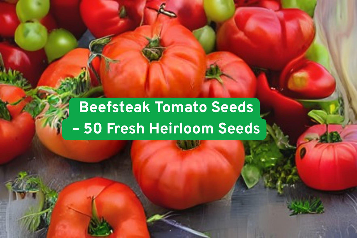 Beefsteak Tomato Seeds – 50 Heirloom Non-GMO Vegetable Seeds for Slicing & Cooking – Solanum lycopersicum