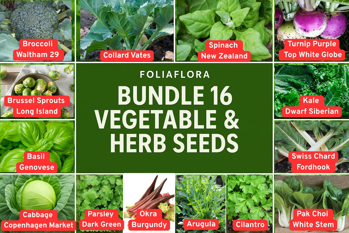Vegetable and Herb Seed Bundle – 16 Varieties for Home Gardening, Non-GMO, Container & Raised Bed Planting