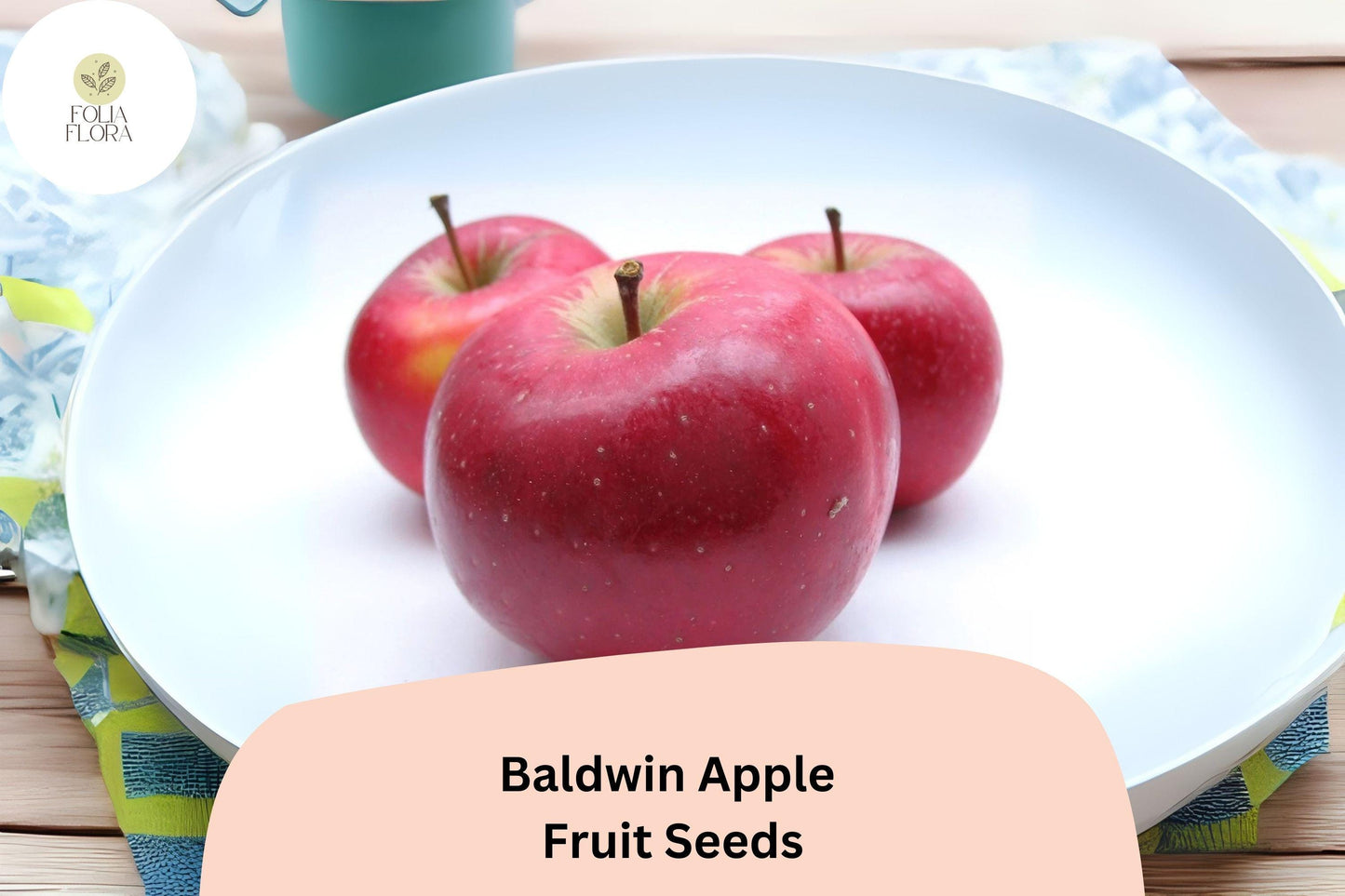 Baldwin Apple Seeds (25+) – Heirloom Cold Hardy Fruit Tree for Orchard & Garden – Malus domestica