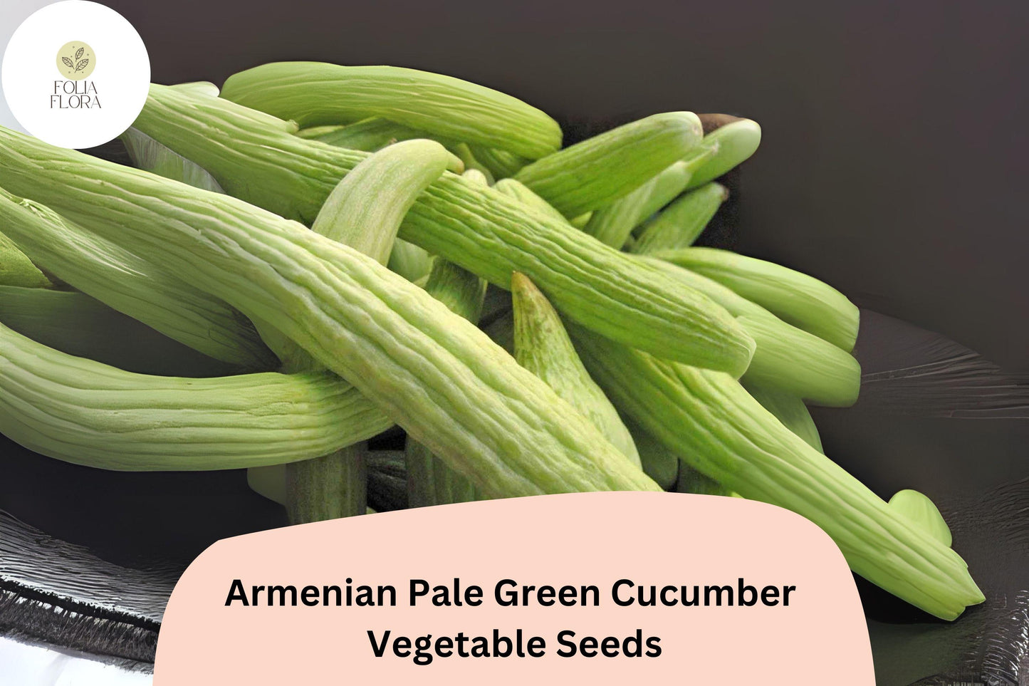 Armenian Cucumber Seeds | Pale Green Snake Melon, Heirloom Vegetable, Cucumis melo var. flexuosus, Vining, 25+ Seeds