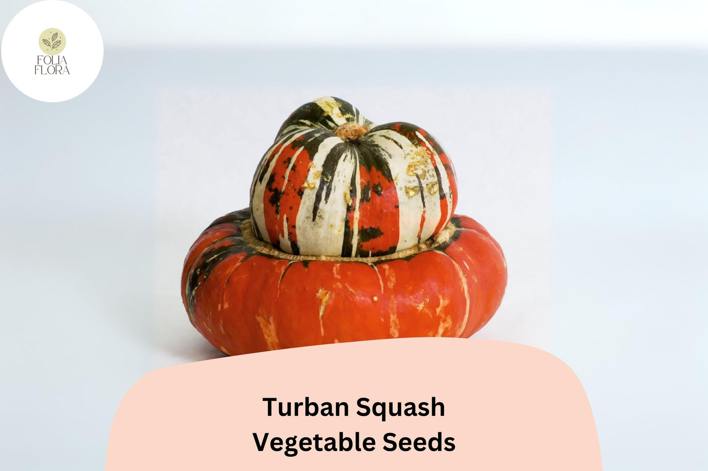 Turban Squash Seeds | Heirloom Cucurbita maxima | Edible & Decorative Ornamental Fruit
