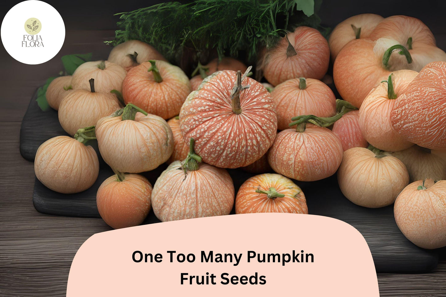 One Too Many Pumpkin Seeds | Heirloom Red Striped Cucurbita maxima | Edible & Decorative Pumpkins, 25+ Seeds