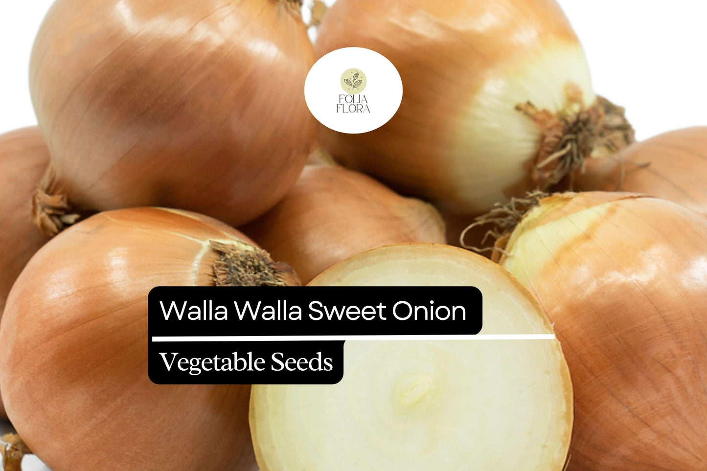 Walla Walla Sweet Onion Seeds | Heirloom Allium cepa | Large Bulbs, Mild Flavor, Crispy Flesh, Garden Vegetable Seeds