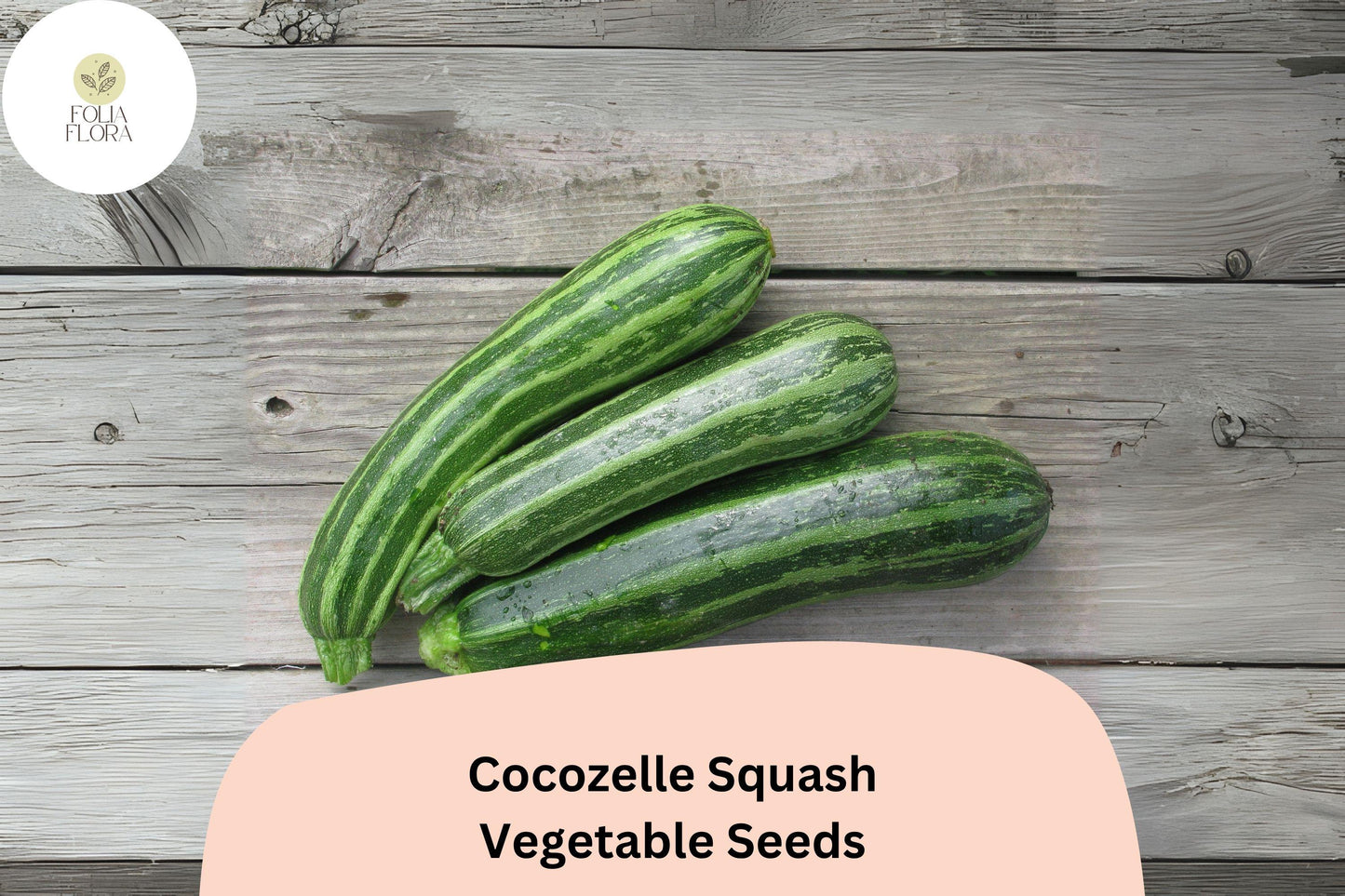 Cocozelle Squash Seeds, Italian Heirloom Cucurbita pepo, Green Striped Summer Vegetable, 25+ Seeds for Garden Planting