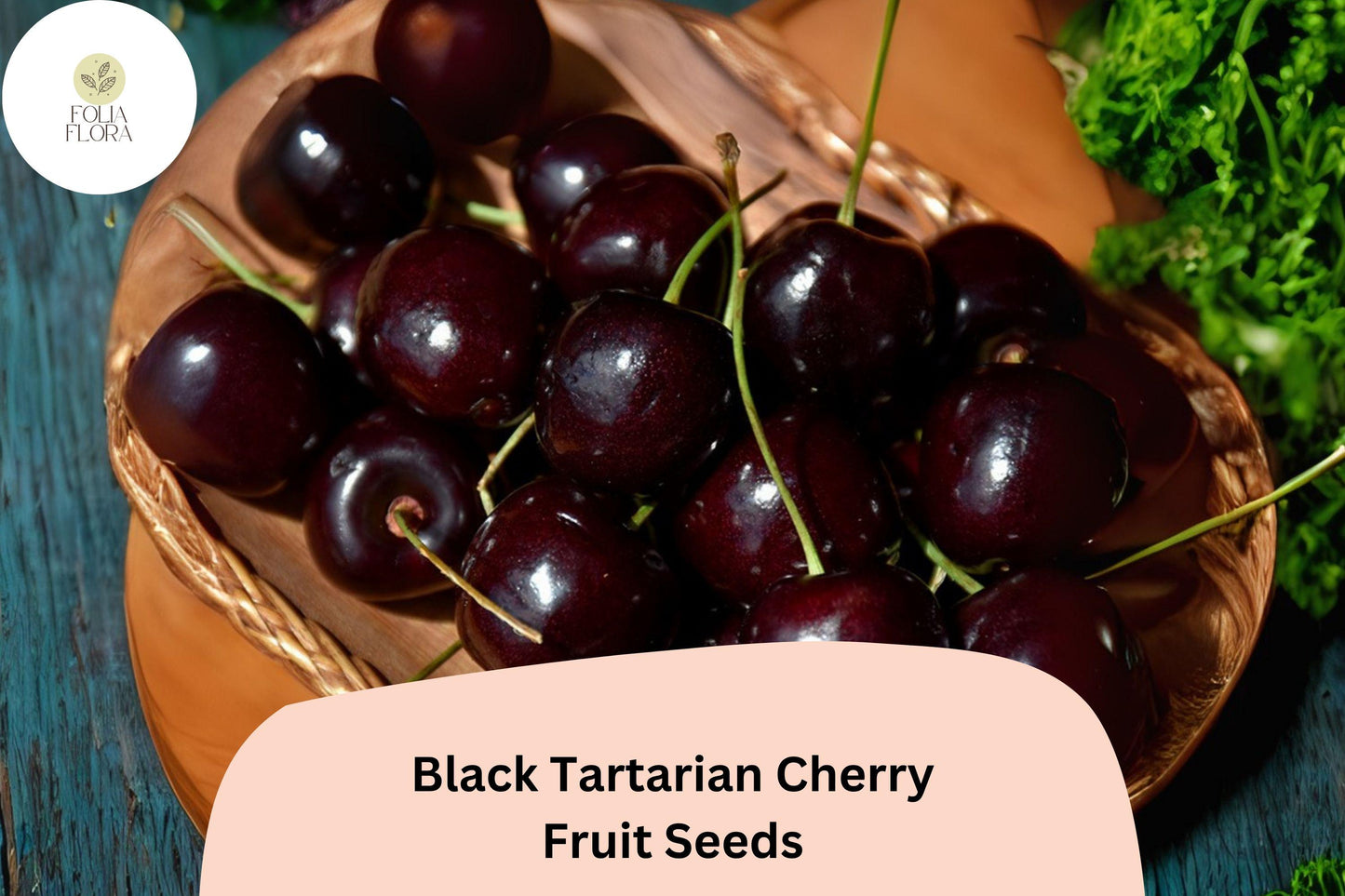 Black Tartarian Cherry Tree Seeds | Fruit Tree Seeds for Growing Prunus avium ‘Black Tartarian’ | Sweet Dark Purple-Black Cherries