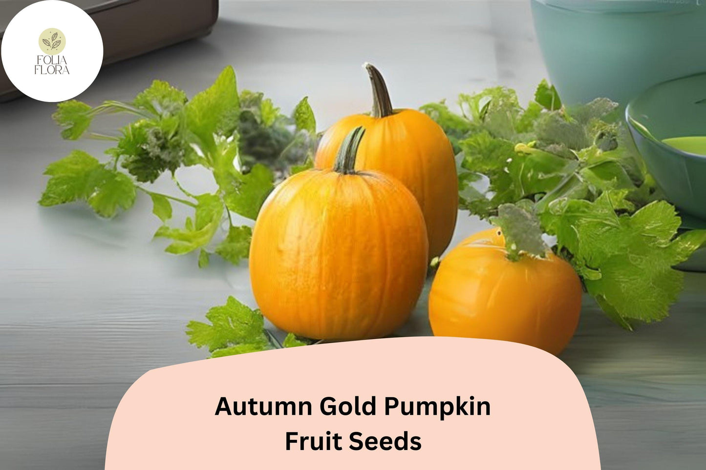 Autumn Gold Pumpkin Seeds, 25+ Cucurbita pepo, Early Orange Fruits, Compact Vining, Fall Decor & Culinary
