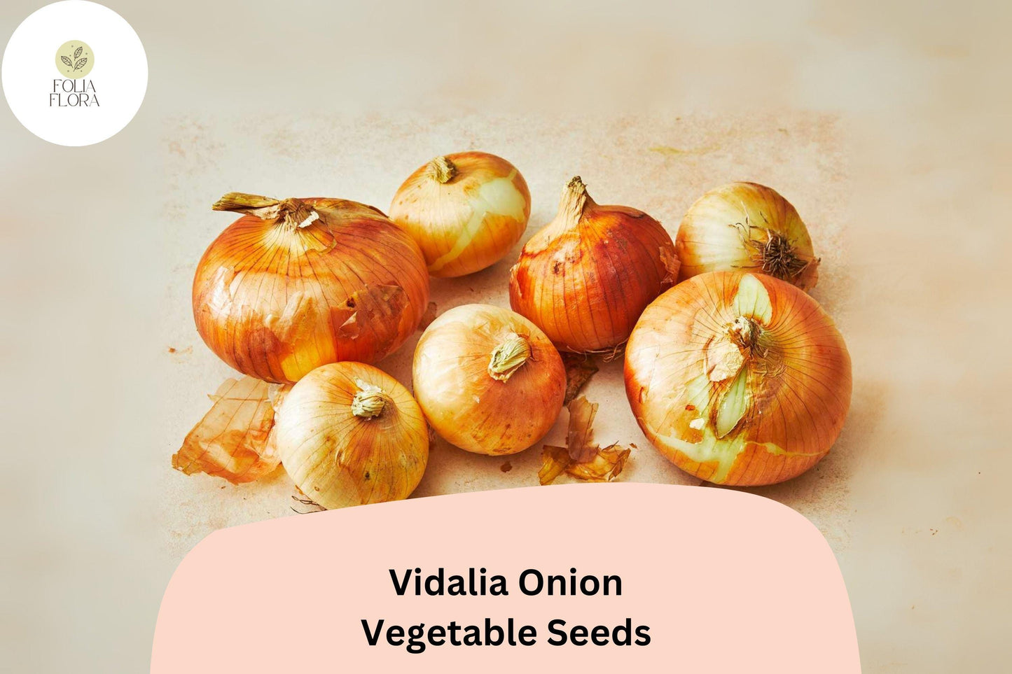 500+ Vidalia Onion Seeds, Sweet Onion Variety, Large Bulbs, Mild Flavor, Allium cepa, Garden Planting