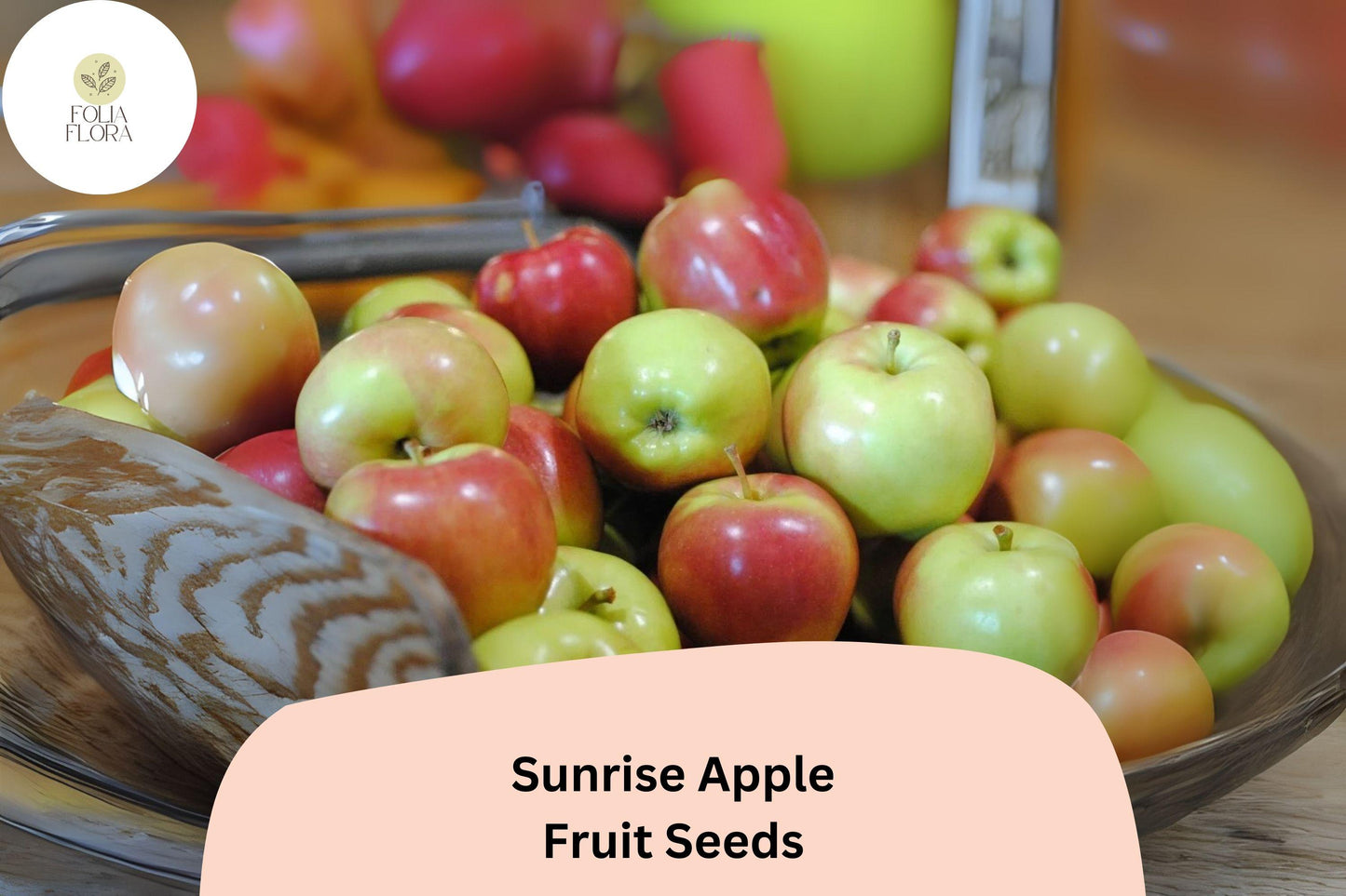 Sunrise Apple Seeds | Early Season Fruit Tree | Juicy, Sweet & Crisp | Malus domestica