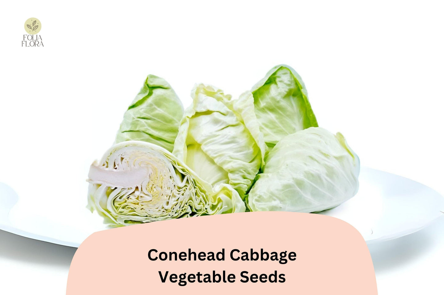 Conehead Cabbage Seeds | Heirloom Pointed Head Brassica oleracea | Sweet, Tender, Crisp Leaves for Garden Planting