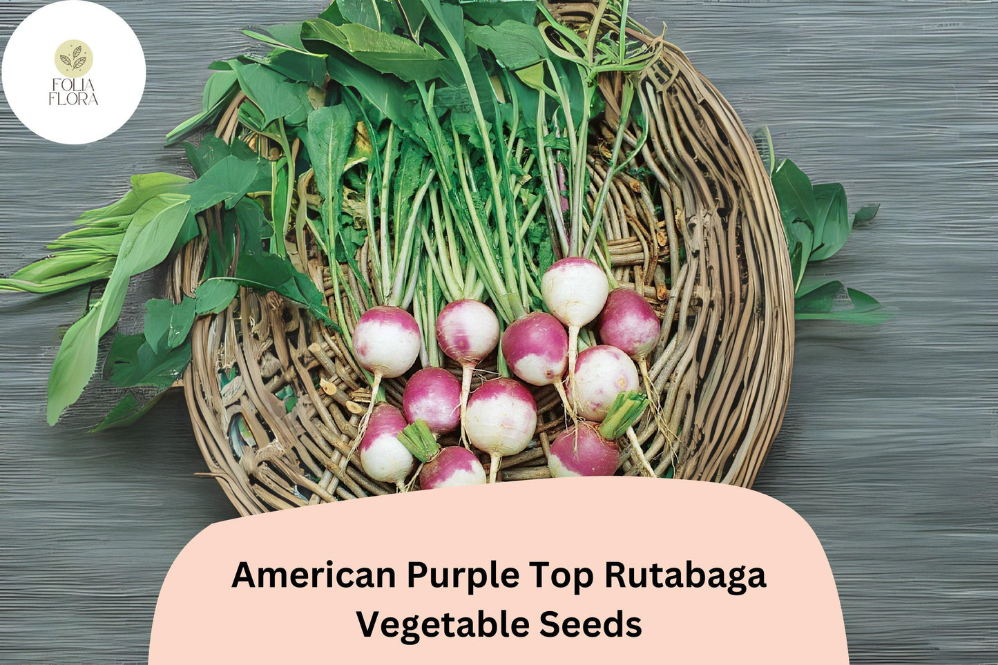 American Purple Top Rutabaga Seeds – Heirloom Brassica napobrassica for Fall Garden Planting, 500+ Non-GMO