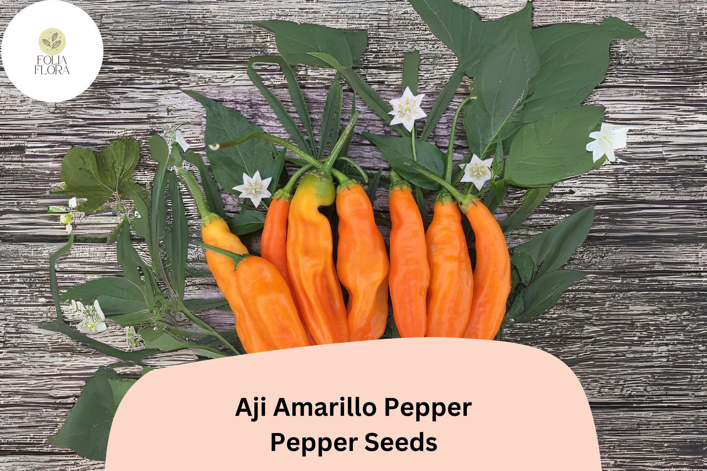 Aji Amarillo Pepper Seeds | Peruvian Heirloom Chili, Spicy Fruit, Capsicum baccatum, 25+ Seeds