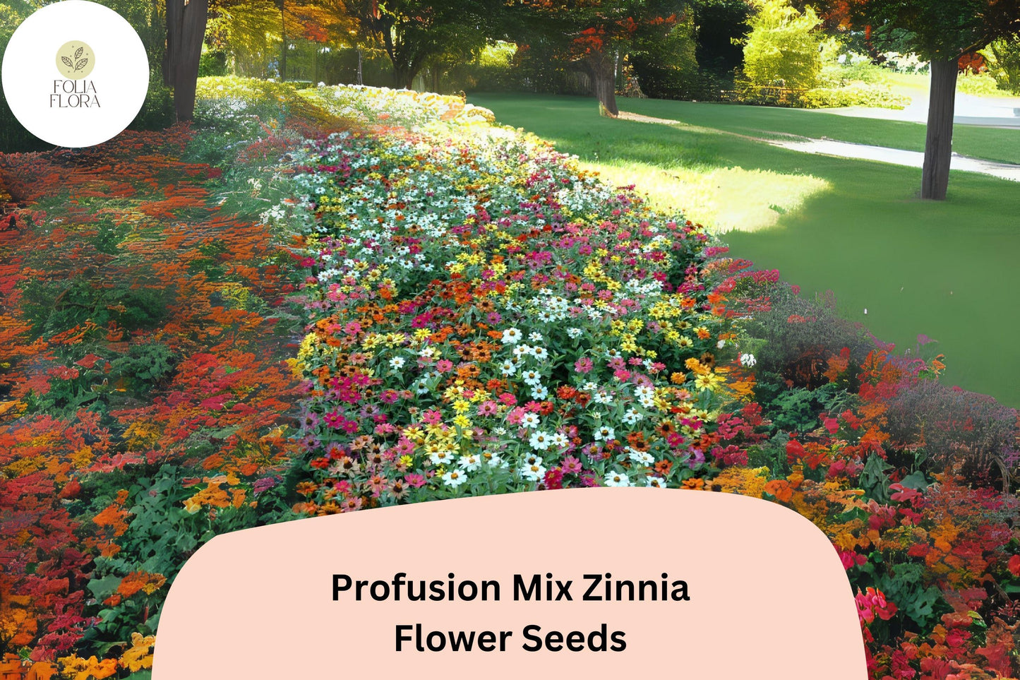 Profusion Mix Zinnia Seeds – Multicolor, Compact Annual Flowers for Pollinator Gardens, Zinnia elegans
