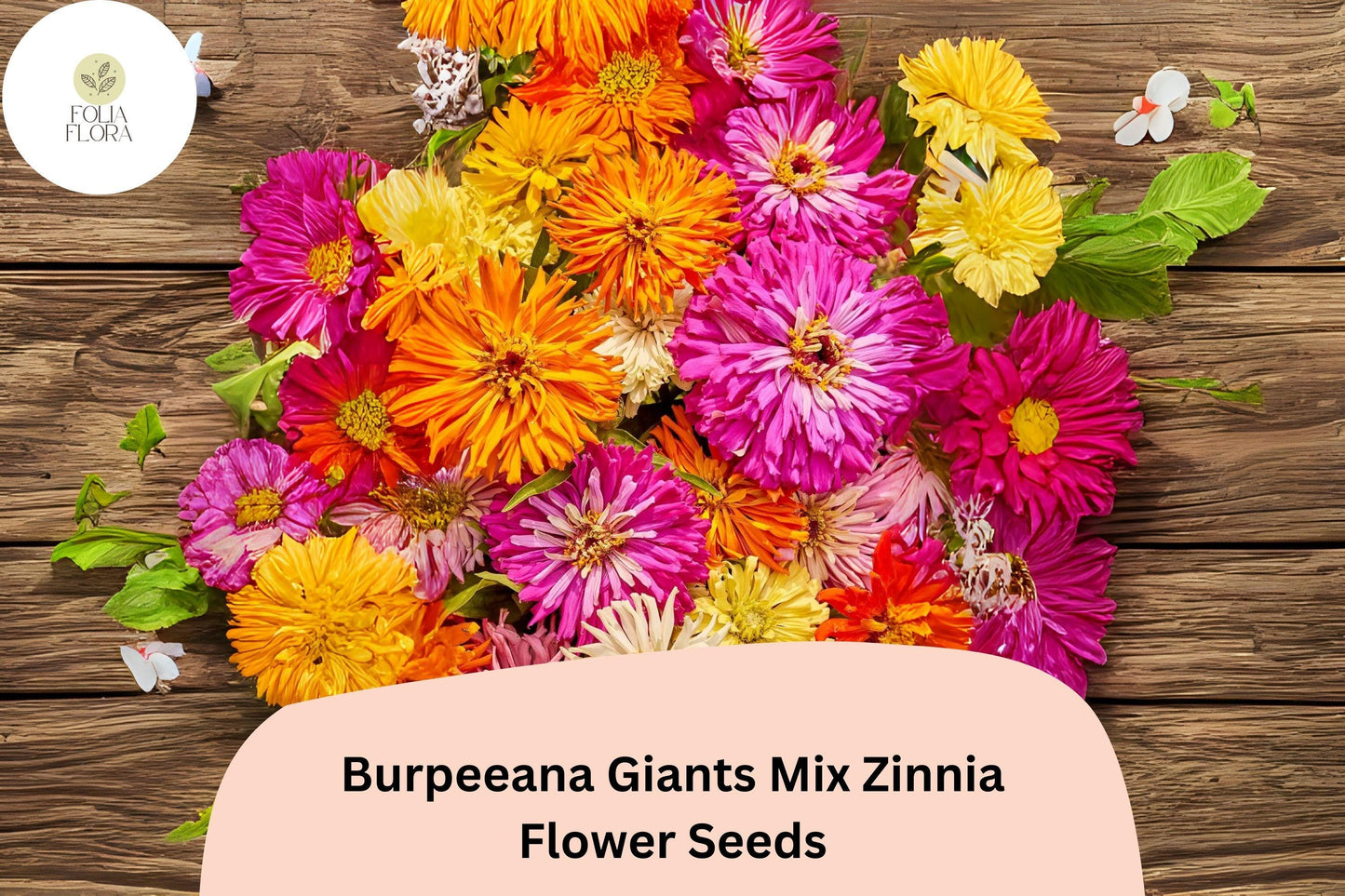 Burpeeana Giants Mix Zinnia Seeds – Tall Heirloom Annuals for Cutting & Garden Beds – Zinnia elegans, Bright Color, Large Double Blooms