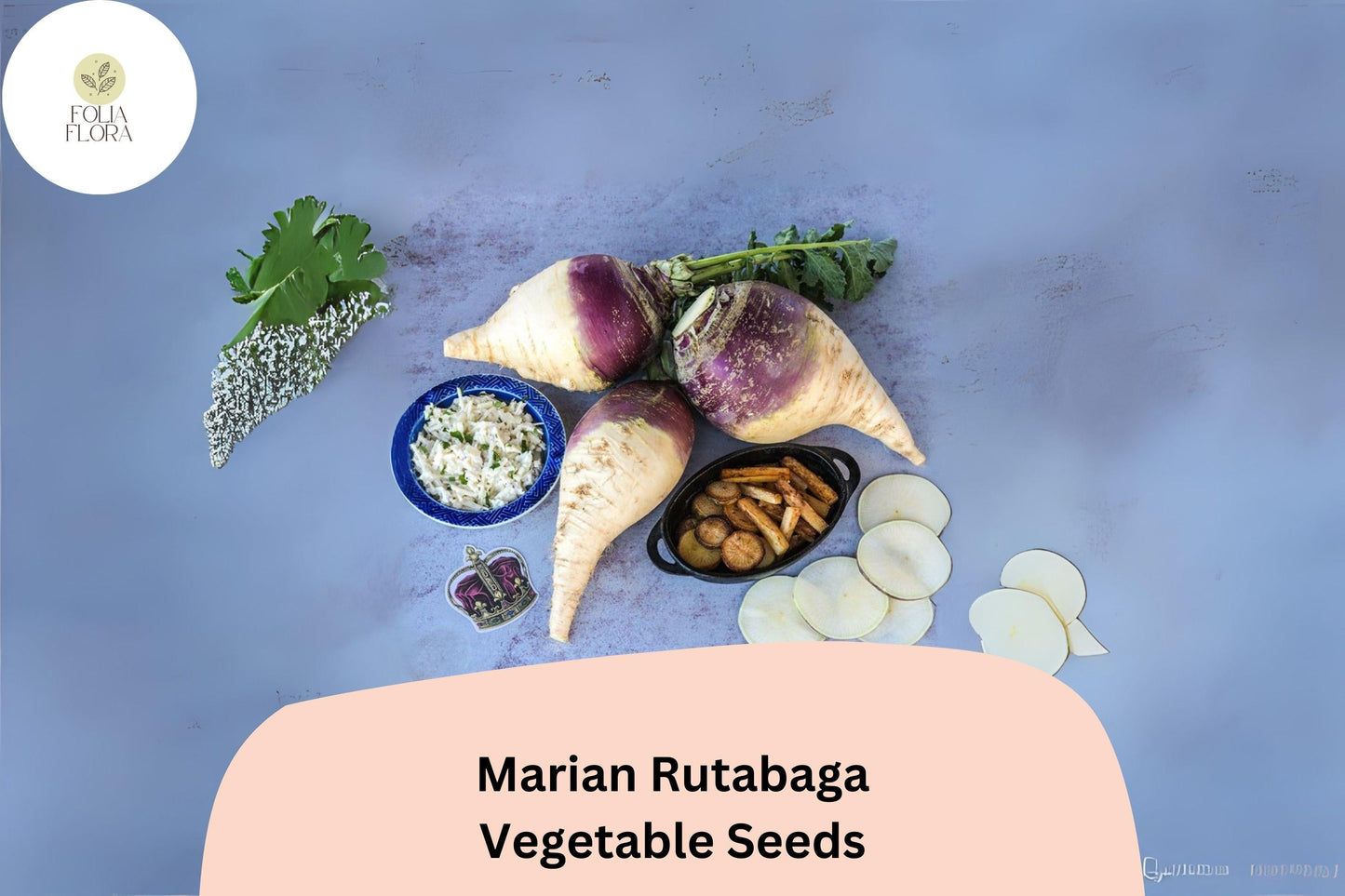 Marian Rutabaga Seeds – Heirloom Brassica napobrassica Root Vegetable, Purple Top, Golden Flesh, Non-GMO, 500+ Seeds