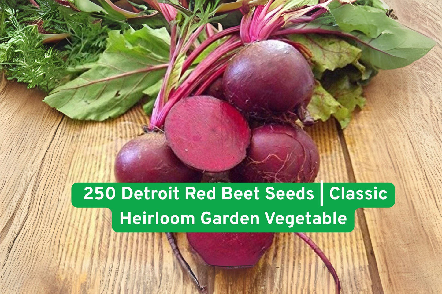 Detroit Red Beet Seeds – Heirloom Non-GMO Vegetable Seeds for Gardening, 250+ Red Root & Greens, Easy to Grow, USA Grown