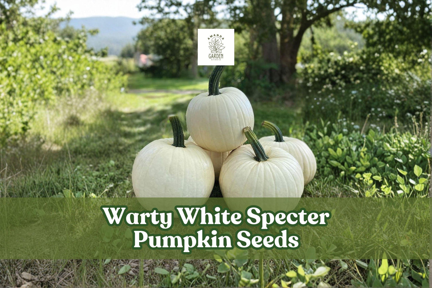 Warty White Specter Pumpkin Seeds Heirloom Cucurbita maxima for Fall Decor & Carving, 10 Seeds